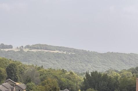 IMG_8869
