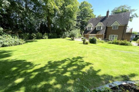Property Image 39