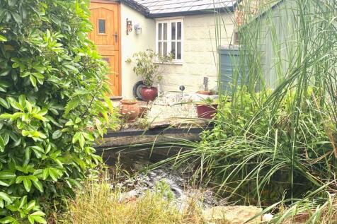 Garden pond