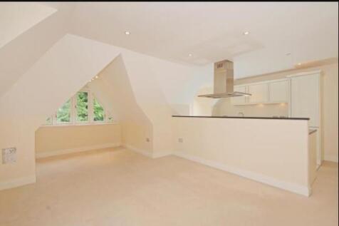 Living Area/Kitchen