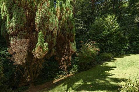 External Grounds