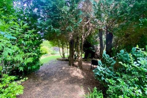 Wooded Area