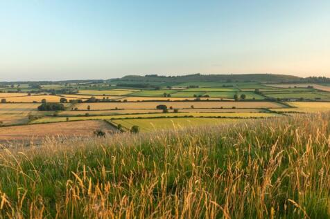 Local Views