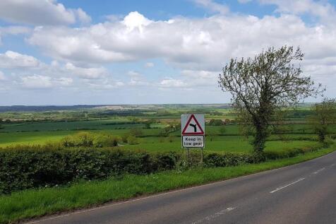 local Views