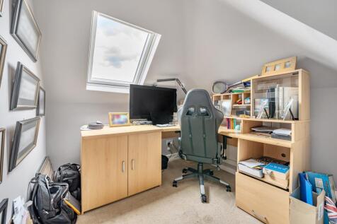 Study Area