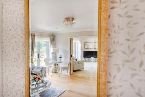 Mirror View