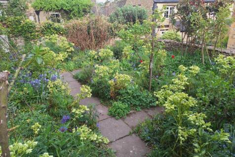 Garden in the summer