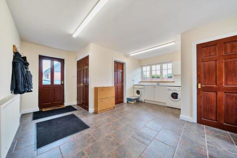 Utility/back door