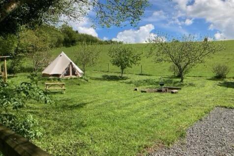 Paddock/Glamping site