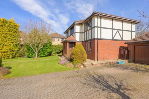 Property Image 41