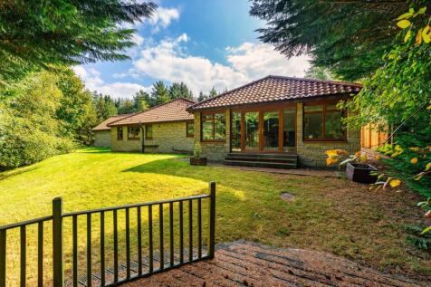 Rear of Property