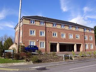 External