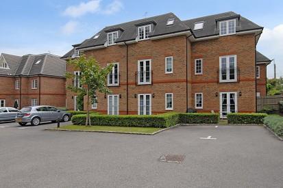 Rear Elevation
