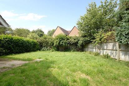 Garden Photo