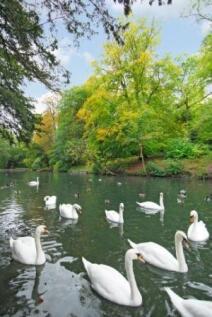 Wycombes River Wye