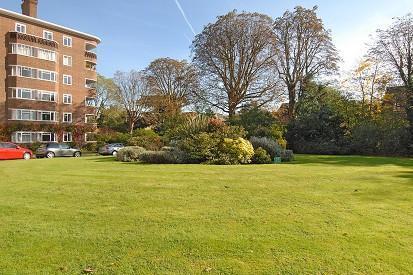 Communal Grounds