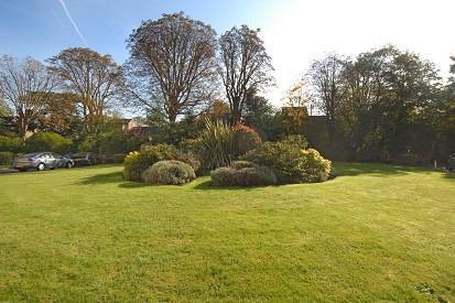 Communal Grounds