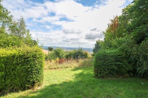 Garden Shot