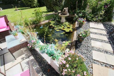 Nature Pond