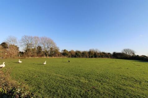 FIELD VIEWS