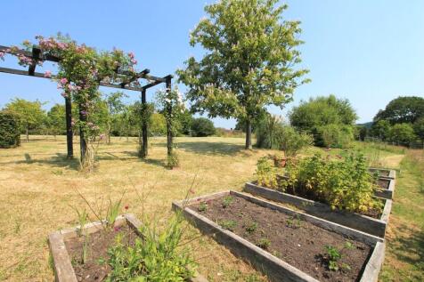 veggie garden