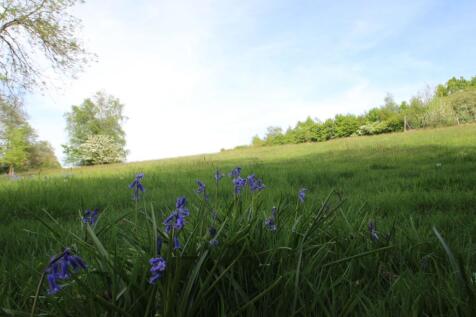 field