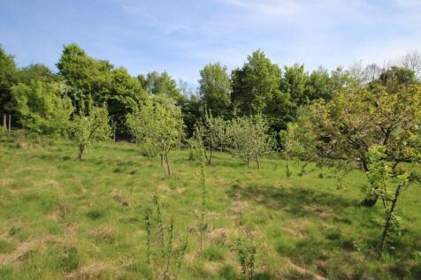 orchard