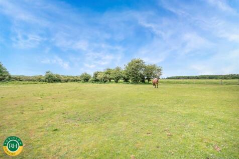 Acre paddock
