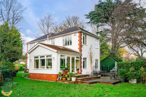 Rear of Property .jpg