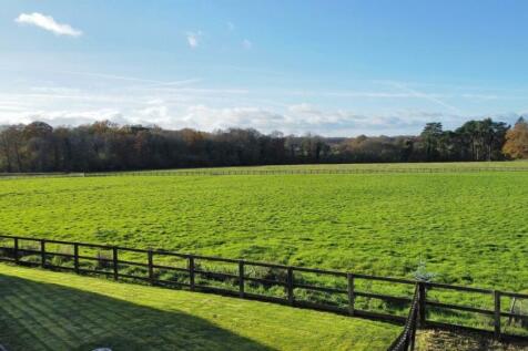 Field view 2.jpg