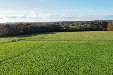 Field view 1.jpg