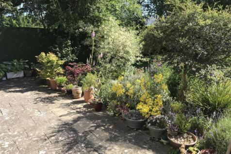 Patio Flowers.JPG