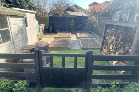 Veg Patch 1.JPG
