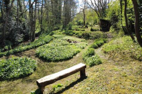 Woodland 1.JPG