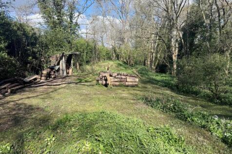 Woodland 3.JPG