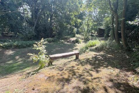 Woodland 1.JPG