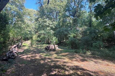 Woodland 2.JPG