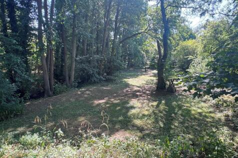 Woodland 3.JPG