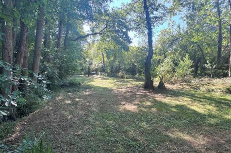 Woodland 5.JPG