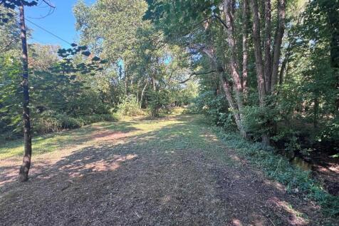Woodland 6.JPG