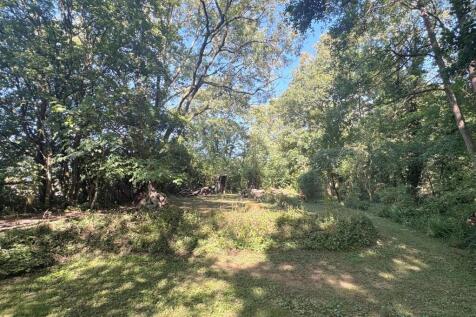 Woodland 7.JPG