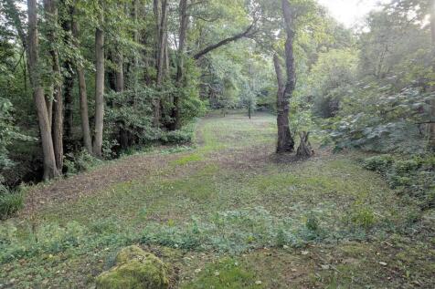 Woodland new 2.jpg