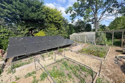 Veg Patch and solar grd 1.JPG
