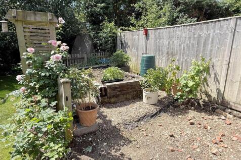 Grd veg patch 1.JPG