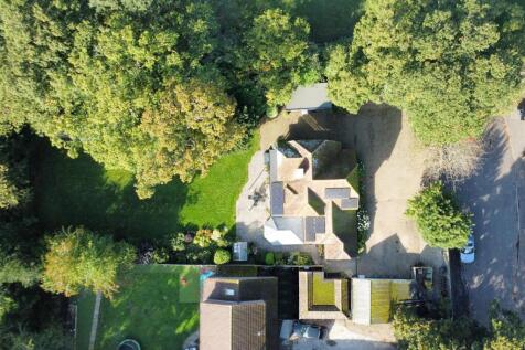 Drone elevated plot 1.JPG