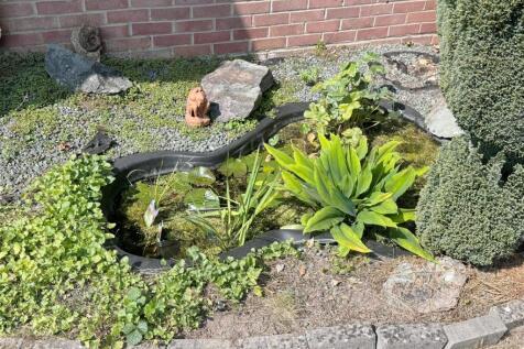 Pond 1.JPG