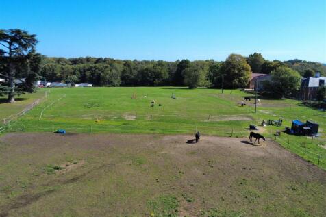 Field View 1.JPG