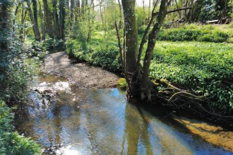 Woodland Stream 1.JPG