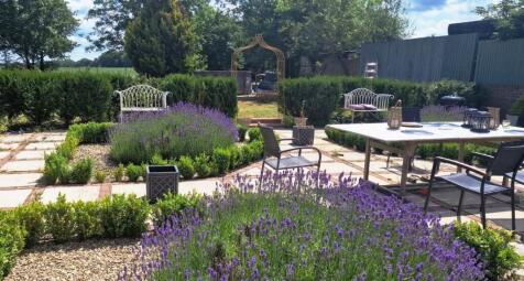 IMG-20250227-WA0008 - Copy.jpg