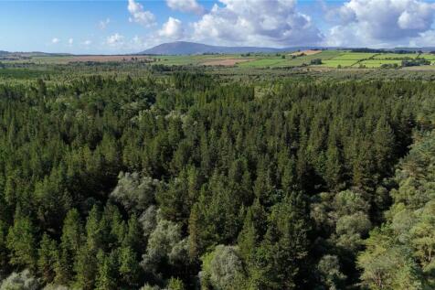 Fleet Forest